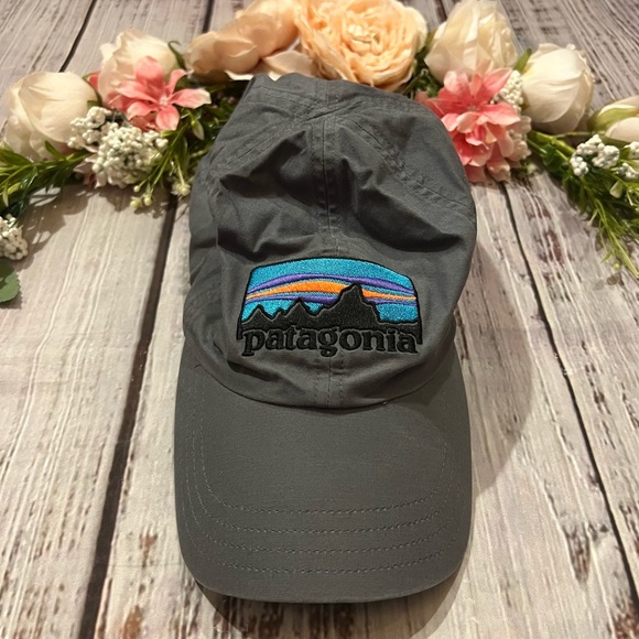 Patagonia Other - RARE Patagonia Cap